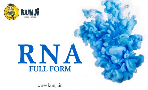 RNA Full Form, What is the Full form of RNA?