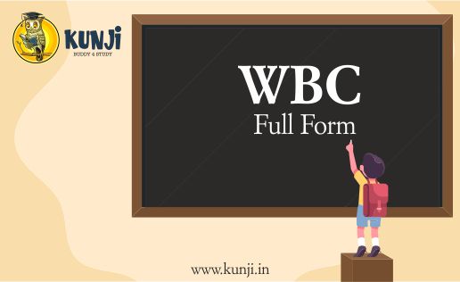 WBC Full Form, What does WBC stand for?