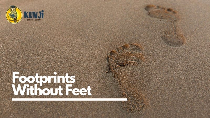 Footprints Without Feet