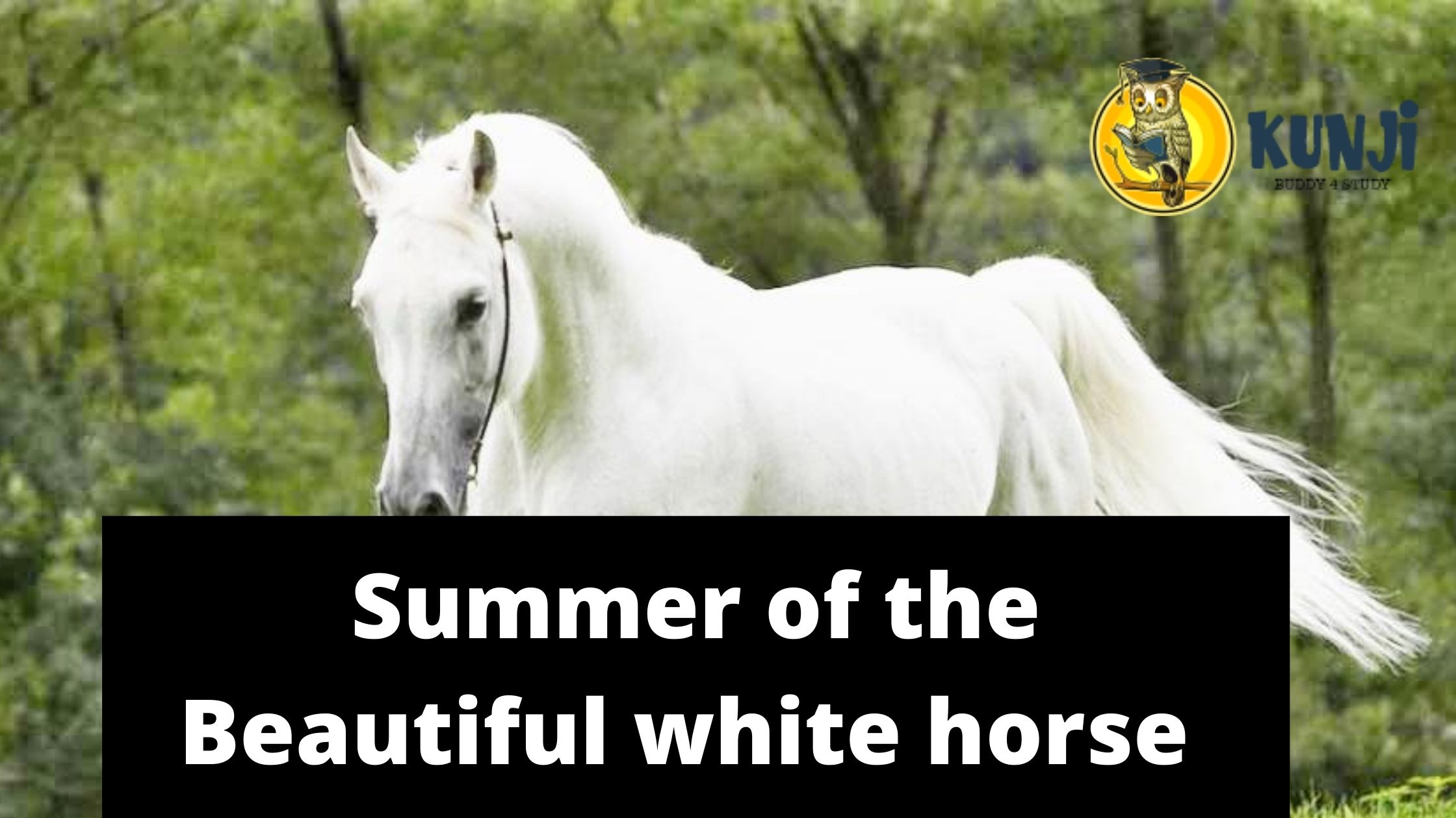 Class 11th English chapter The Summer of the Beautiful White Horse
